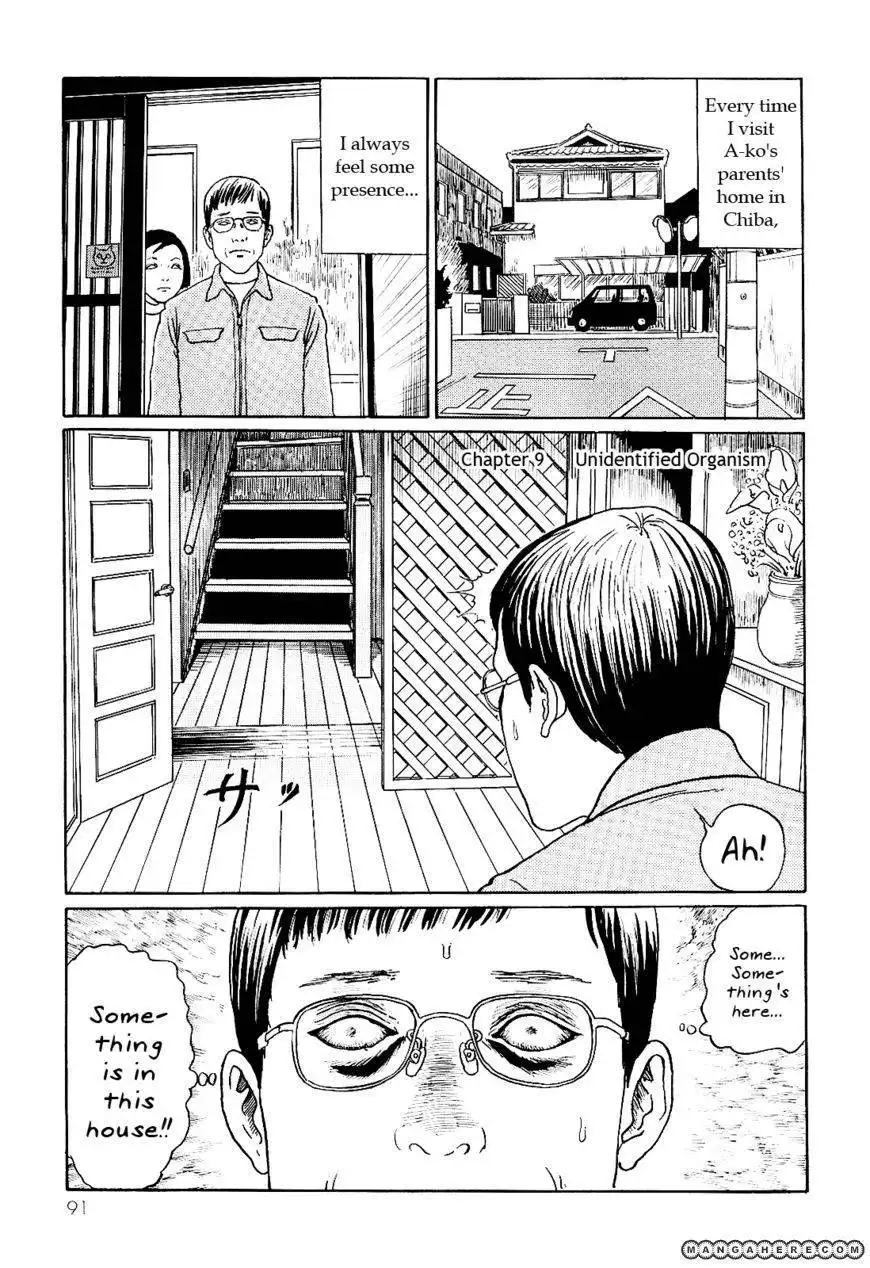 Ito Junji's Cat Diary Chapter 9 1